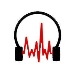 Audio Vocals